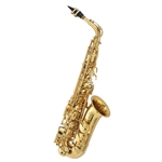 Buffet Crampon  400 Series Alto Sax Outfit - Professional BC8401-1-0