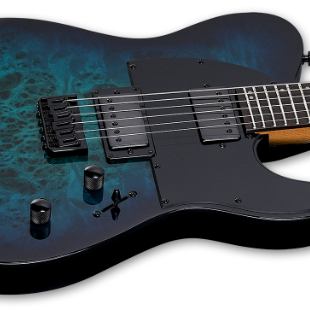 ESP LTD TE-200DX Electric Guitar w/ Rosewood Fingerboard - Blue Burst LTE200DXBLB
