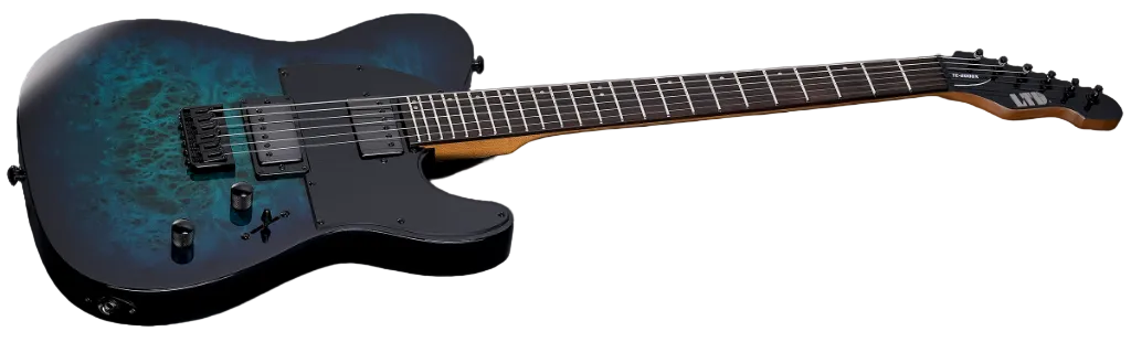 ESP LTD TE-200DX Electric Guitar w/ Rosewood Fingerboard - Blue Burst LTE200DXBLB