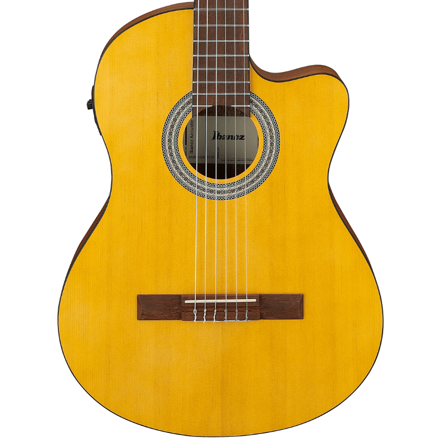 Ibanez Classical Guitar - Open Pore Amber GA3ECEOAM