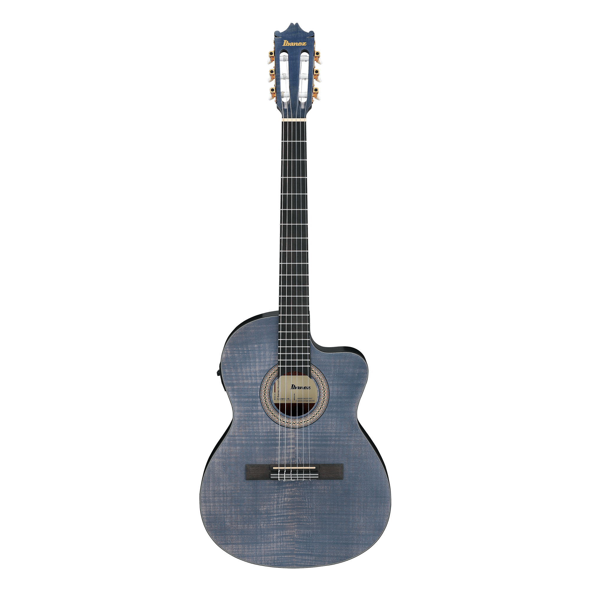 Ibanez Classical Cut-Away Guitar w/ Electronics - Open Pore Blueberry