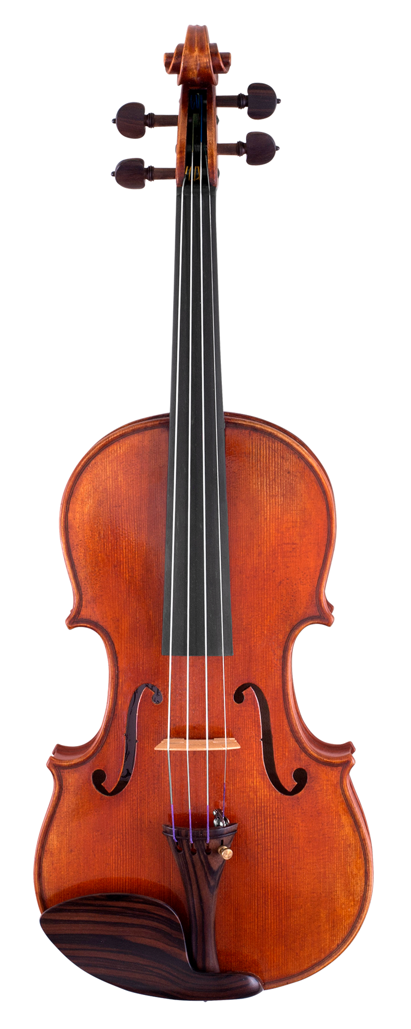 Scherl & Roth 4/4 Advanced Violin Outfit - SR71E4H