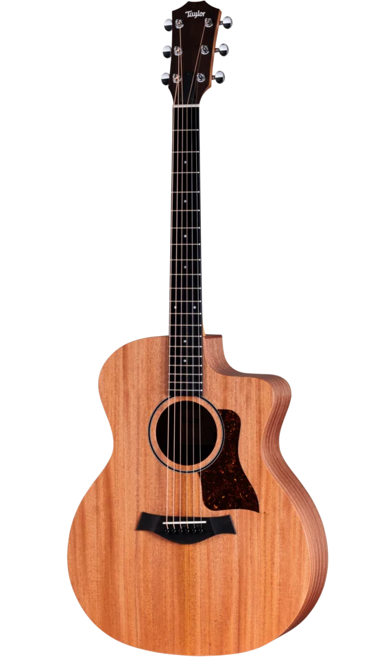 Taylor Guitars 24CE Grand Auditorium Acoustic/Electric Guitar - Tropical Mahogany