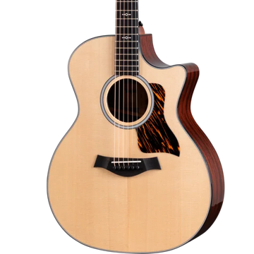 Taylor Guitars 300 Series Grand Auditorium Acoustic/Electric Guitar 314CE
