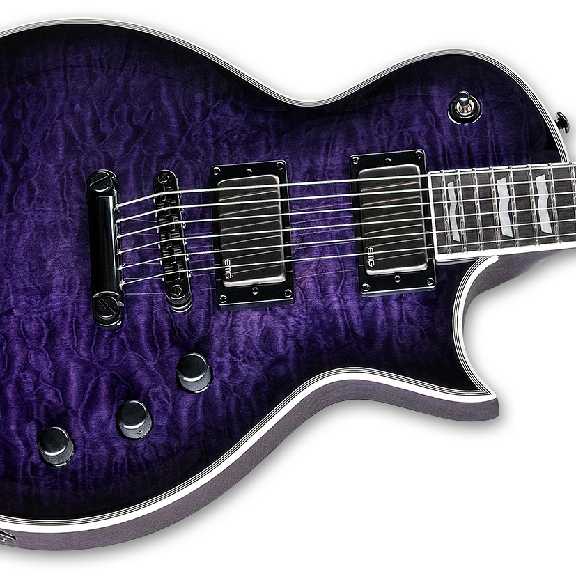 ESP LTD EC-1000 Electric Guitar w/ Macassar Ebony Fingerboard - See Thru Purple Sunburst