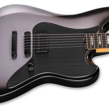ESP LTD Signature Series Joe Duplantier Guitar w/ Case - Silver Sunburst LJDISSB
