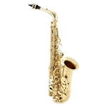 Selmer  Professional Alto Saxophone SAS711