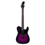 ESP  LTD TE-200DX Electric Guitar w/ Rosewood Fingerboard - Purple Burst LTE200DXPRB