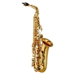 JZ Music  Student Alto Saxophone Outfit ASL