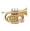 JZ Music  Bb Pocket Trumpet POTB