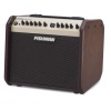 Fishman  Loudbox Mini 60W Acoustic Amp PRO-LBX-500
