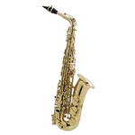 Axos Seles Professional Eb Saxophone by Selmer Paris 52AXOS