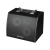 Phil Jones Bass Session 77 - 100w Bass Combo Amplifier (S-77)