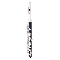 Armstrong  Student Piccolo - Composite 307