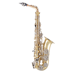 Selmer  Student Alto Saxophone SAS301