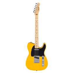 Fender®  Standard Telecaster w/ Maple Fingerboard - Butterscotch Blonde 026-6021-550