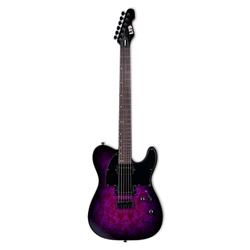 ESP  LTD TE-200DX Electric Guitar w/ Rosewood Fingerboard - Purple Burst LTE200DXPRB