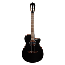 Ibanez  Nylon String Acoustic/Electric Guitar w/ Laurel Fingerboard - Black Gloss AEG50NBKH