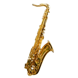 JZ Music  Bb Tenor Saxophone Outfit TSL