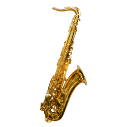 JZ Music  Bb Tenor Saxophone Outfit TSL