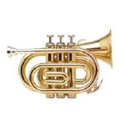 JZ Music  Bb Pocket Trumpet POTB