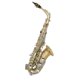 Selmer  Alto Saxophone Outfit AS600