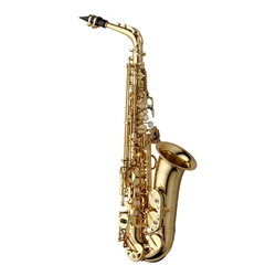 Yanagisawa Pro Alto Saxophone Outfit AW01