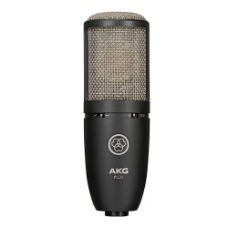 AKG  High-Performance Large Diaphragm True Condenser Microphone P220