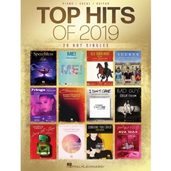 Top Hits of 2019 - PVG